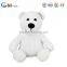 Factory Supply Advantage Price Personalized Funny Blank Bears