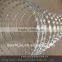 Galvanized sharp razor blade barbed wire(Crossed Rarbed Wire and Single coil barbed Wire)