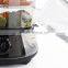 Home steamer stainless steel