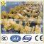 xcmg wheel loader axles drum roller axle vibratory compactor axles