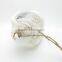 Decoration Fashion Design Cute Resin Moroccan Lantern White