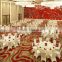 Carpet for hotel Banquet hall flooring carpet, Carpet factory from China