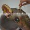 Cute cartoon inflatable rat for sale toys pvc