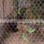 For Security chain link fence stainless steel chain link fence