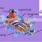 Dry screw vacuum pump with best price