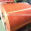 Decorative Wooden Ppgi Steel Coils
