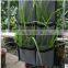 Reusable Pocket Garden Patio PE Herb Grow Bag For Garden Herb Planting Bags