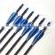 Hot Selling Archery Fiberglass Arrow