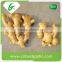 Candied Fresh Ginger