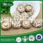 2015 HOT Cheap Market Prices for Mushroom for Sale