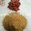 High Quality Goji Berry seeds for growing plants