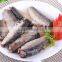 Buy 125g Canned Sardine in oil and sauce with club can
