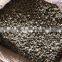 VIETNAM WET POLISHED ROBUSTA COFFEE BEANS S16(+841657106604 - WHATSAPP)