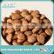 2016 CROP NEW CROP APRICOT KERNELS, BLANCHED APRICOT KERNELS NUT, SHELLED APRICOT KERNELS NUT