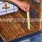 bee medicine/Bee Flumethrin Strip for beekeeping