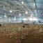 Tunnel ventilated chicken house design