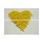 High quality Yellow Pigment color masterbatch