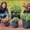 indoors outdoors 8 layers 4 layers peanut freeze Herbs Dryer collapsible drafty well