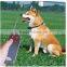 2015 Hot Sell Remote Control Cheap Dog Beeper Collar Cheap Dog Shock Collar Cheap Dog Vibration Collar