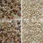 Hot selling nut processing color sorter in with new system
