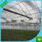 High Quality PE Material Clear Plastic Greenhouse Film/grape Cover Plastic Film