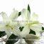 Cut Fresh Lily Flowers Different Kinds Lily Flowers With Factory Price