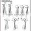 extracting forceps