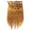 clip in human hair extensions