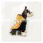 Dog Clothes Autumn Winter Dog Waistcoat Pet Cotton Clothes Schnauzer Pomeranian Teddy Corgi Pet Clothing