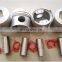 Brand Type for TCM Isuzu Forklift 6BB1 6BB1T Overhaul Bearing + Head Gasket + Piston + Ring Set