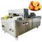 Fruit Pitting Machine Apple Kiwi Plum Peeling Machine Full Automatic High Efficiency Motor Stainless Steel Top Level WSLZQH-190