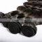 WJ019  express hair Indian remy hair body wave virgin indian hair                        
                                                                                Supplier's Choice