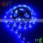 waterproof 5050SMD 5m led strip kits