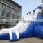 popular newest giant dolphin inflatable slide for kids and adults
