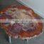 Arizona petrified wood coffee table