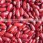 China Dark red kidney beans for sale