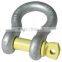 US Type Screw Pin Anchor Shackle