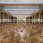 Hand tufted wall to wall carpets Hotel project carpet Shenzhen Carpets