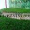 synthetic grass for landscaping purpose to north America market