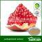 ellagic acid solubility for pomegranate extract punicalagin