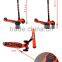 CE SGS certificated aluminum 4 wheel scooter eagle scooter