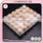 30 Holes wholesale transparent plastic egg tay