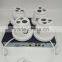security camera recording system outdoor ip camera kit