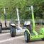 Special made competitive price electric scooter 2000w citycoco scooter