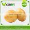 2016 New Arrival Best Fresh Potatoes From China