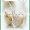 Chinese Jinxiang grade A fresh normal white garlic on sale