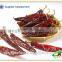 Whole Paprika Pods 180ASTA