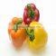 High Yield Anti Virus Sweet Pepper/Capsicum Seed For Sale