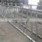 DeLaval Safety Feed Fence Head locks for Dairy Cow/Cattle