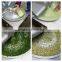 Hot sale Cabbage grinding machine/vegetable garlic crushing machine